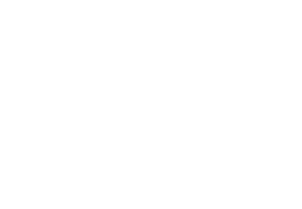 Greg Sestero is an actor, producer, and writer. He was born in Walnut Creek, California and raised between the San Francisco Bay Area and Europe. He is fluent in both French and English. At the age of 17, Greg began his career in entertainment by modeling in Milan for such designers as Valentino and Armani. Upon returning to California, Greg went onto pursue acting and appeared in several films and television shows before co-starring in the international cult phenomenon The Room. Greg's many passions include film, sports, nutrition, animals, and traveling . This is his first book. Greg now resides in Los Angeles. Tom Bissell is the author of several books and a winner of the Rome Prize and a Guggenheim Fellowship. He writes frequently for Harper’s and The New Yorker. 