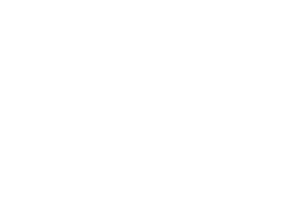 Greg Sestero is an actor, producer, and writer. He was born in Walnut Creek, California and raised between the San Francisco Bay Area and Europe. He is fluent in both French and English. At the age of 17, Greg began his career in entertainment by modeling in Milan for such designers as Valentino and Armani. Upon returning to California, Greg went onto pursue acting and appeared in several films and television shows before co-starring in the international cult phenomenon The Room. Greg's many passions include film, sports, nutrition, animals, and traveling . This is his first book. Greg now resides in Los Angeles. Tom Bissell is the author of several books and a winner of the Rome Prize and a Guggenheim Fellowship. He writes frequently for Harper’s and The New Yorker. 
